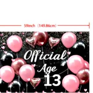 Official Age 13 backdrop and cake stick